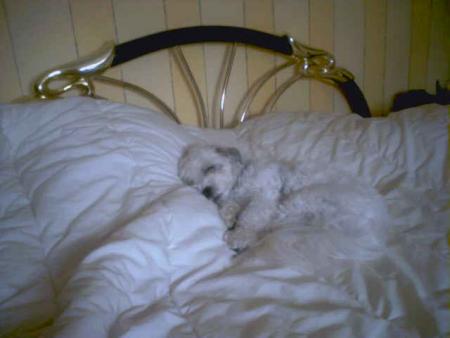 une ptit sieste